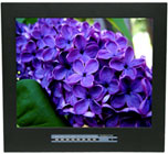 Rack or Panel Mount Monitors